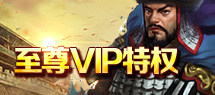 VIP介绍